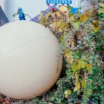 Woman with Light Fixture